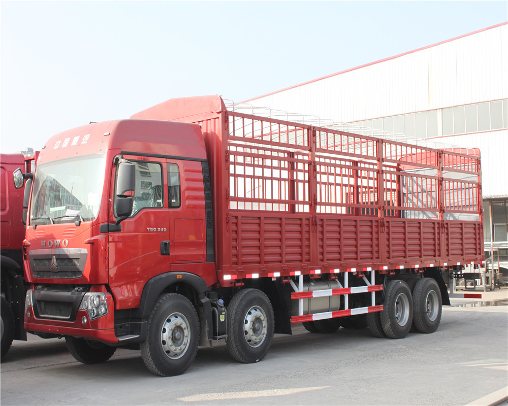 Camion lourd 11 de cargaison de la norme d'émission de l'euro 2 336HP HOWO 8*4 - capacité 20t