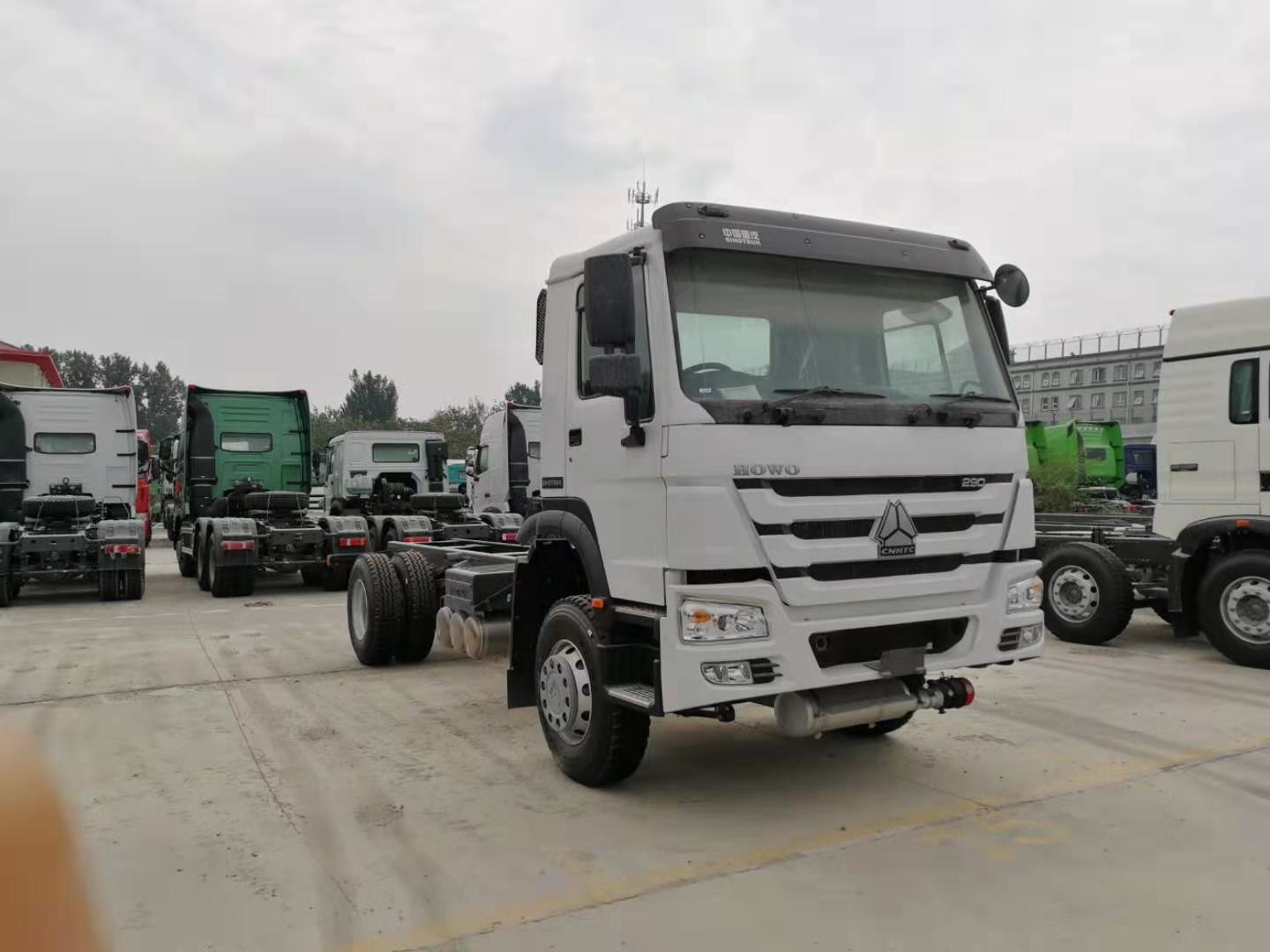 Camion lourd de cargaison de l'euro 2 blancs de la couleur 4x2 de HOWO avec le moteur de 290 HP et la direction ZF8118