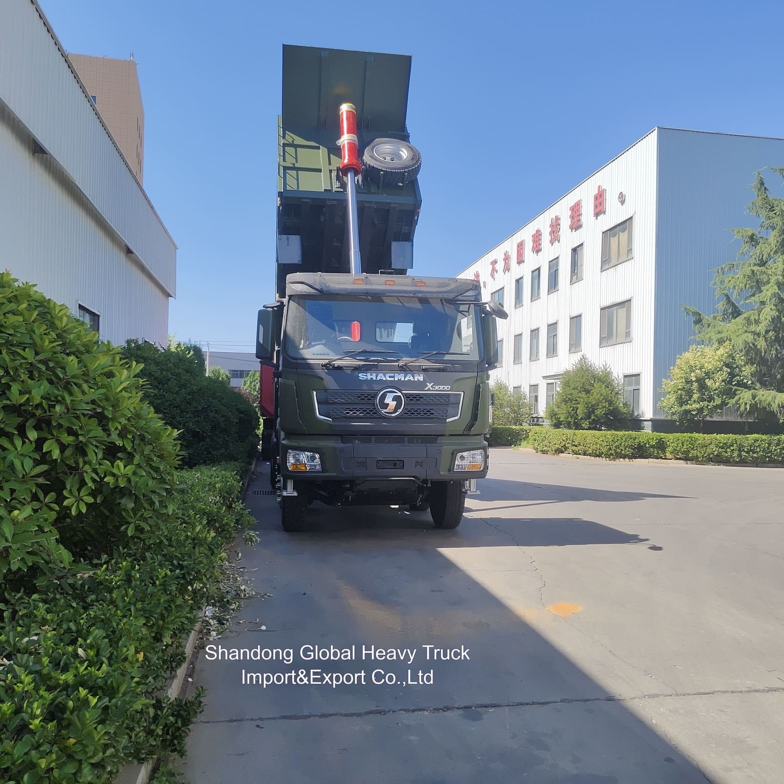 Shacman Nouveau ou d'occasion Lourds 15-30 Tonnes 10-12 roues Taper / Dumper / Dump / Tracteur / remorque / camion