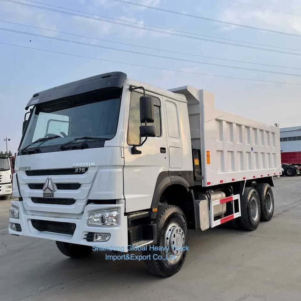 Camions d'occasion 32 30 35 Tonnes Taper Diesel Camion d'occasion Sinotruck HOWO 6X4 Camion de décharge
